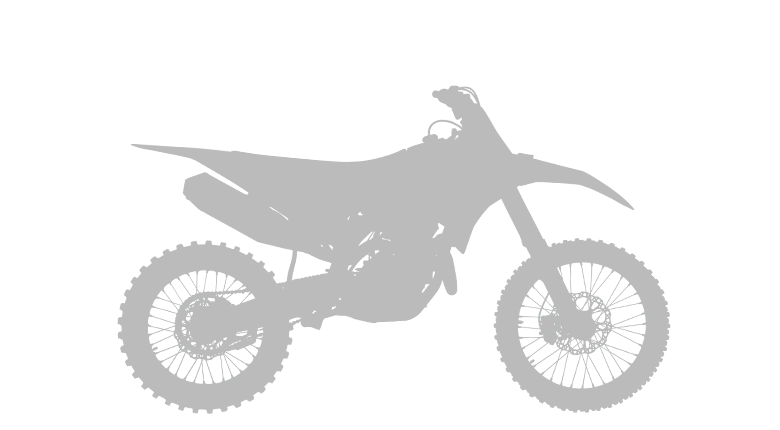 Desmo250 MX
